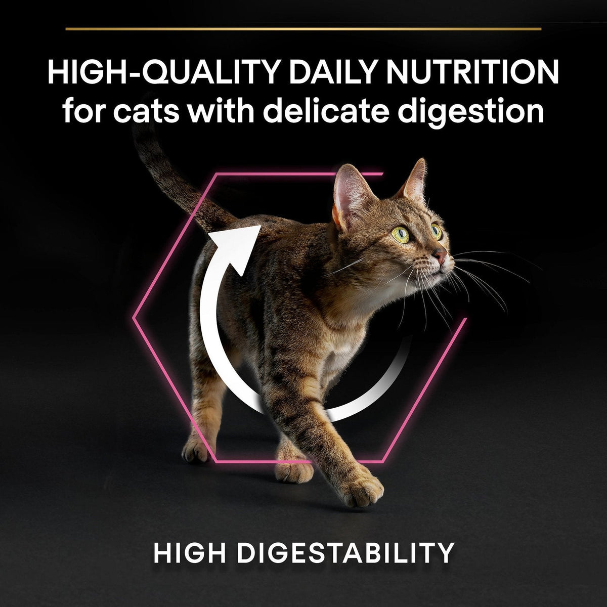 Pro Plan Opti Digest Dry Food with Turkey for Delicate Adult Cats 400 gr