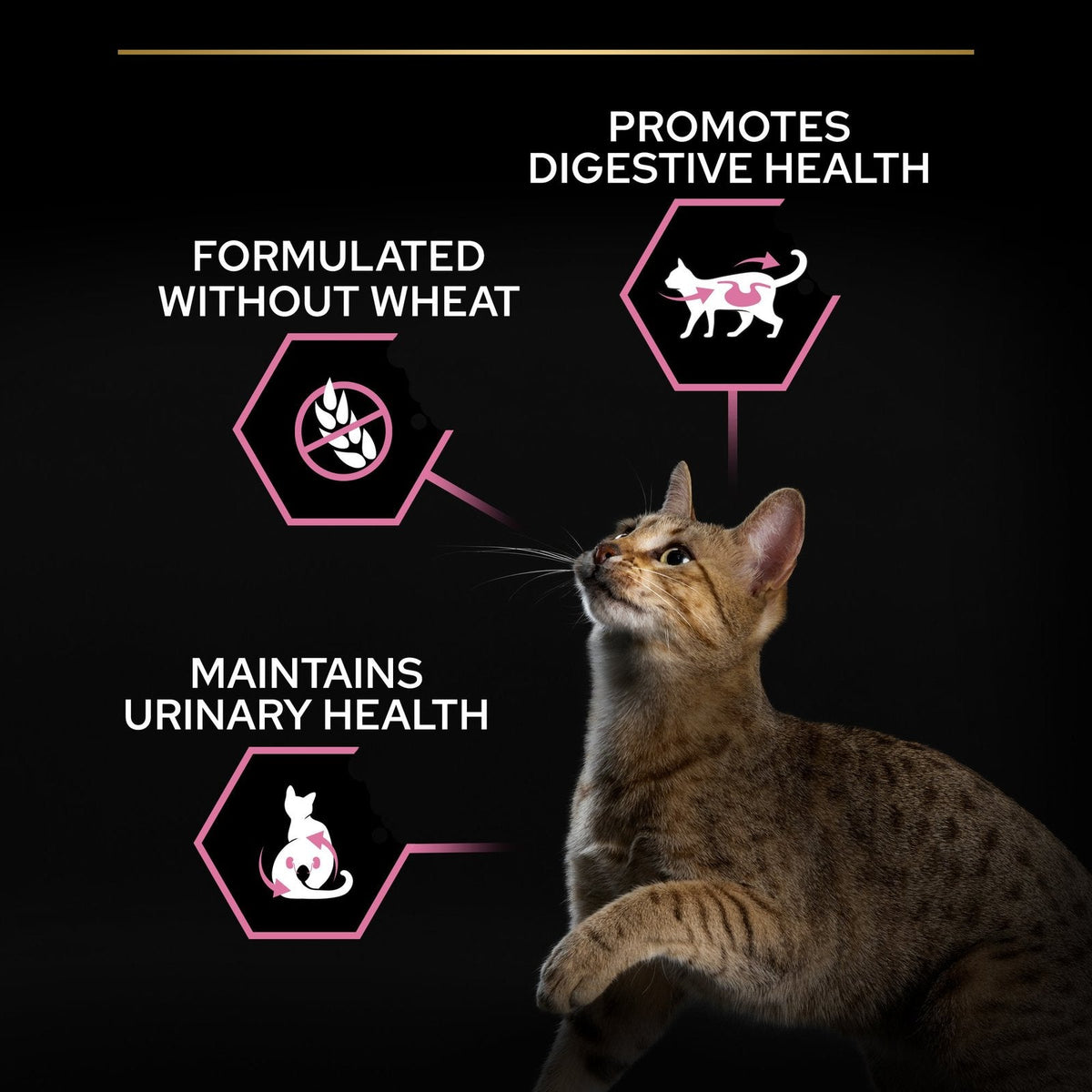 Pro Plan Delicate Digestion Dry Food with Chicken for Sterilized Adult Cats 1.5 kg