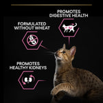 Pro Plan Opti Digest Dry Food with Turkey for Delicate Adult Cats 400 gr