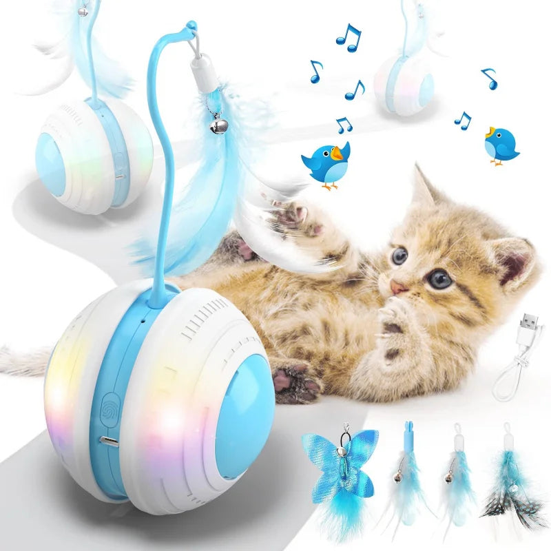 Interactive Cat Ball with Bird Sound, LED Light