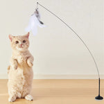 Interactive cat toy steel wire with feather