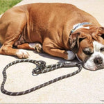 DOCO® 5ft Reflective Rope Dog Leash w/ Click & Lock Snap (1/2" Width) (13mm*150cm)