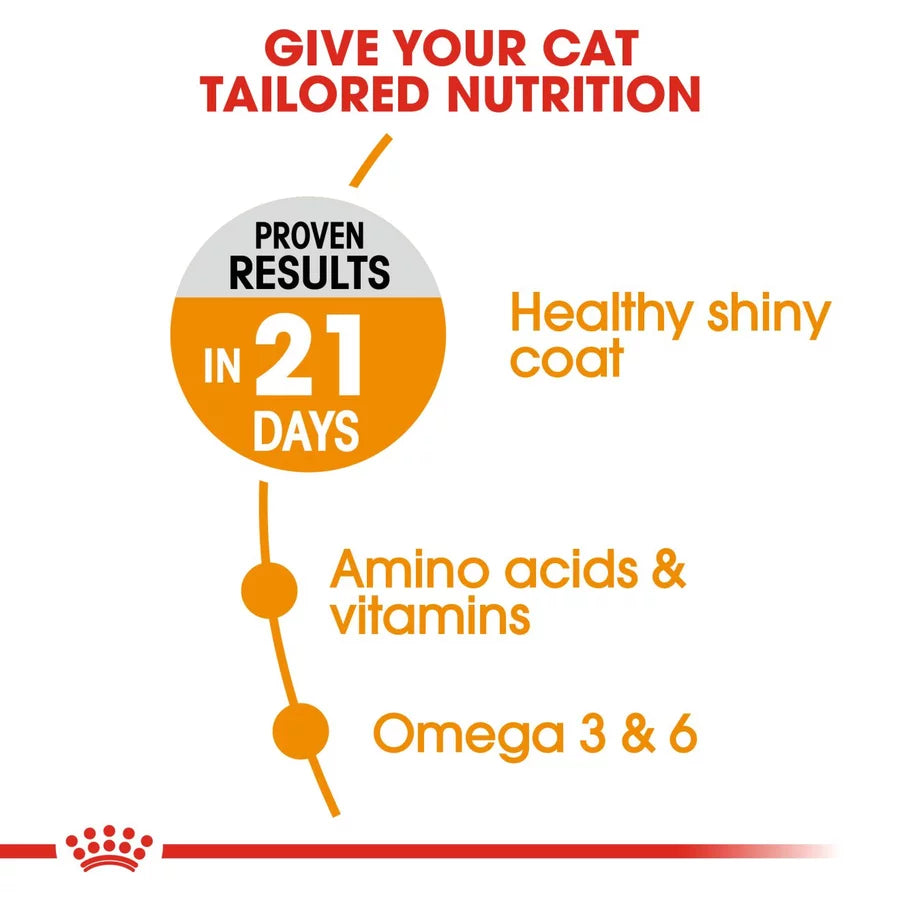 Royal Canin Hair & Skin All Breeds Adult Cat Food