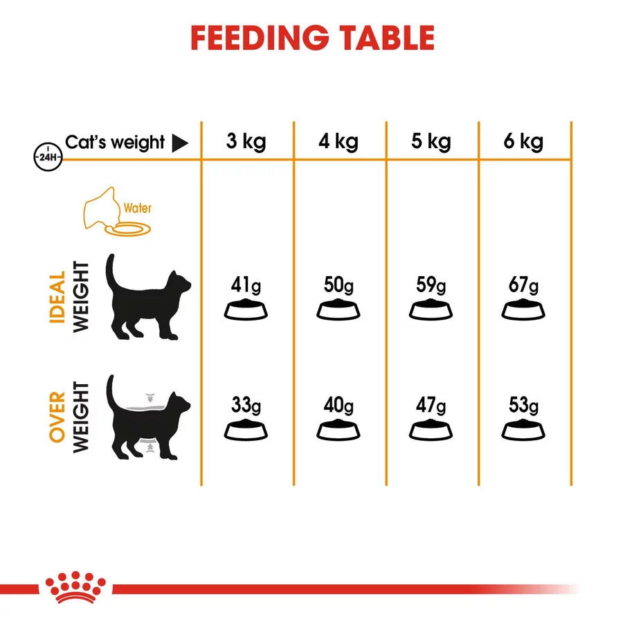 Royal Canin Hair & Skin All Breeds Adult Cat Food