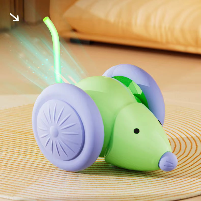 Cat Toy Car & Mouse Smart