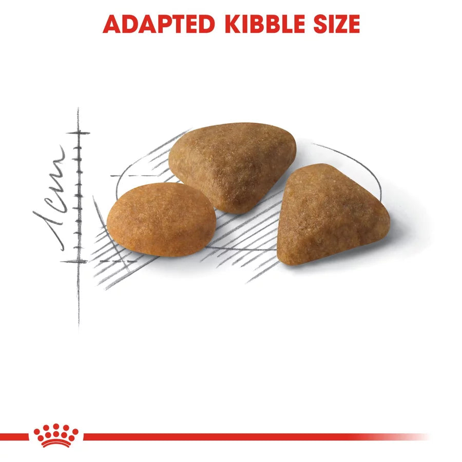Royal Canin Savour Exigent All Breeds Adult Cat Food