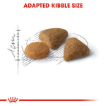 Royal Canin Savour Exigent All Breeds Adult Cat Food