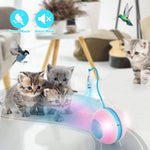 Interactive Cat Ball with Bird Sound, LED Light