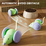 Cat Toy Car & Mouse Smart
