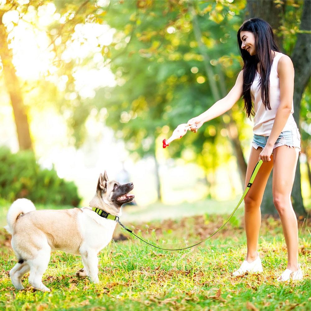 DOCO® Puffy Mesh Dog Leash 4ft