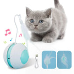 Interactive Cat Ball with Bird Sound, LED Light