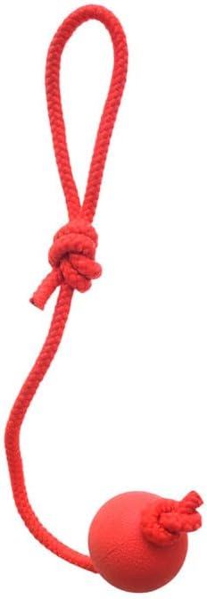 Rubber Ball Rope Dog
