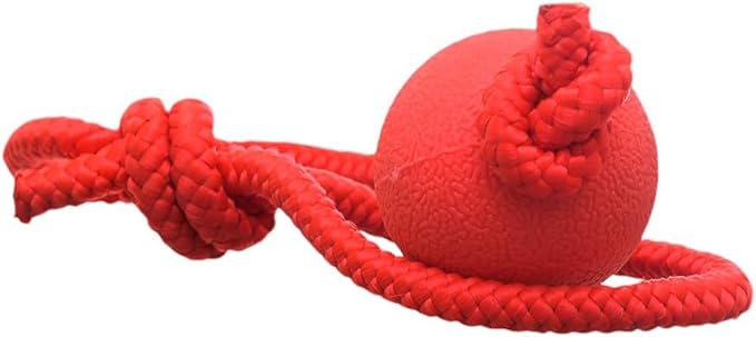 Rubber Ball Rope Dog