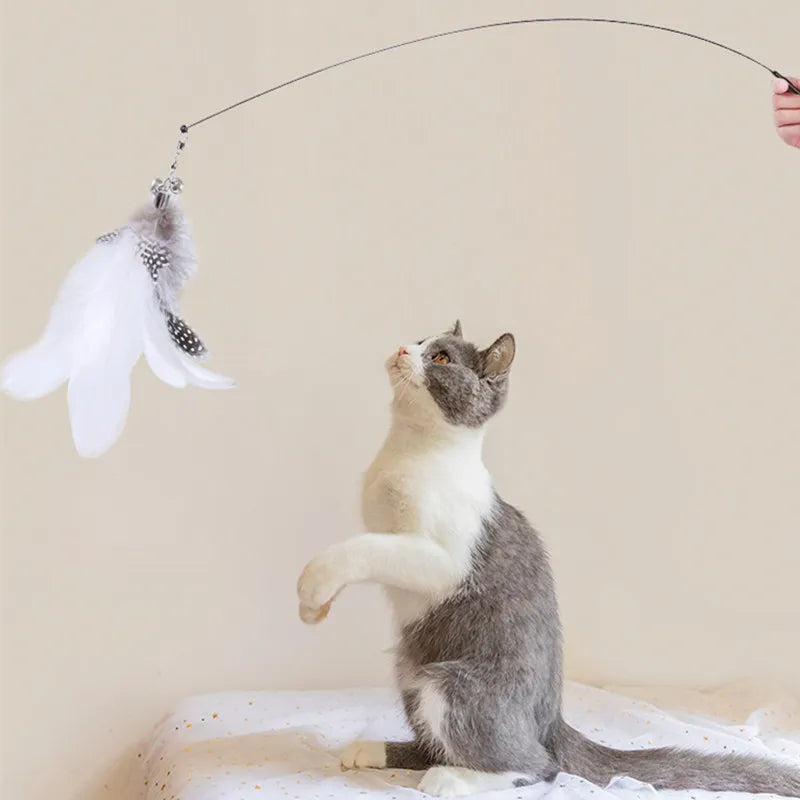 Interactive cat toy steel wire with feather