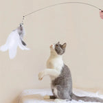 Interactive cat toy steel wire with feather