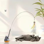 Spinning Cat Teaser Toy