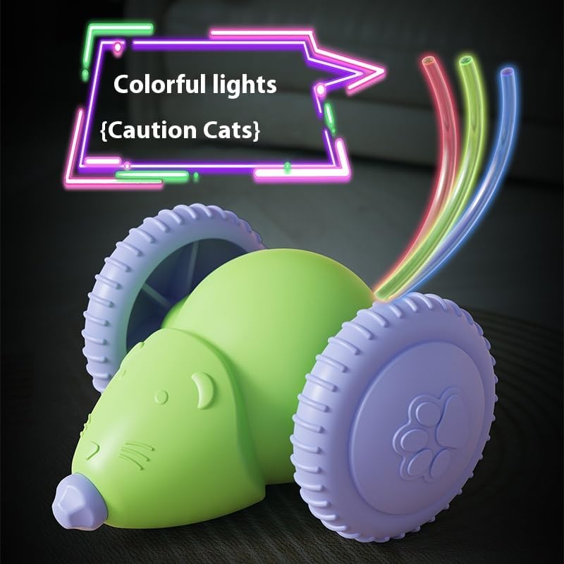 Cat Toy Car & Mouse Smart