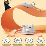 Cat Toy Automatic Moving Mouse
