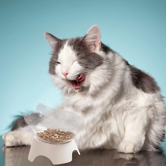 Raised Cat Bowl with Non-Slip Stand for Cats or Small Dogs
