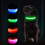 GERMPLASM DOG COLLAR SMALL GREEN