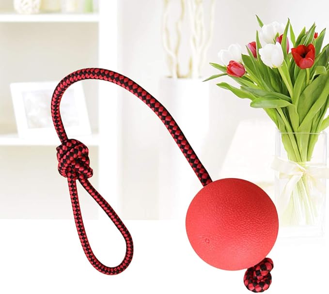PawZilla Ball Toy With Rope