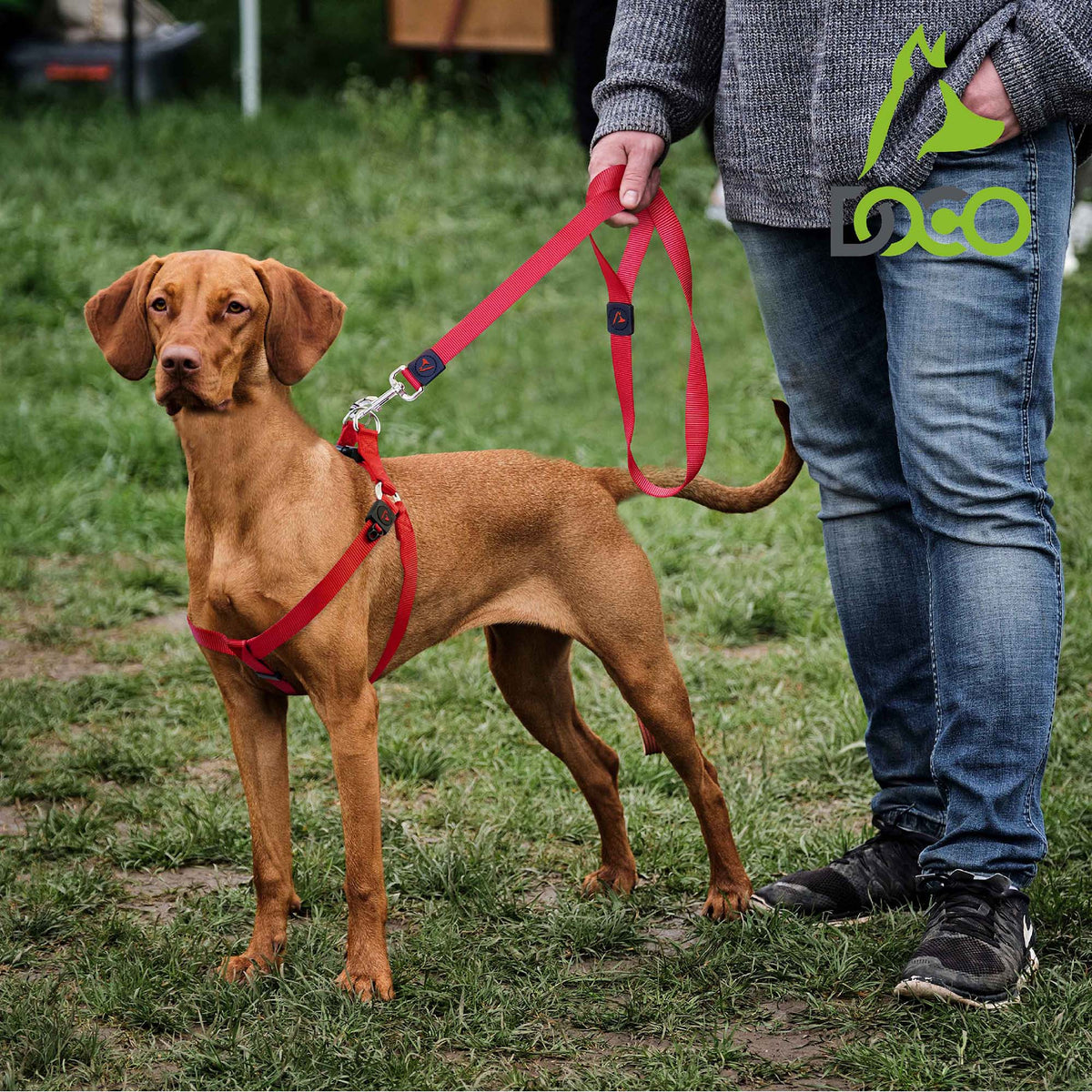 DOCO® 4ft Signature Nylon Dog Leash