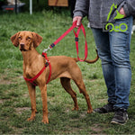 DOCO® 4ft Signature Nylon Dog Leash