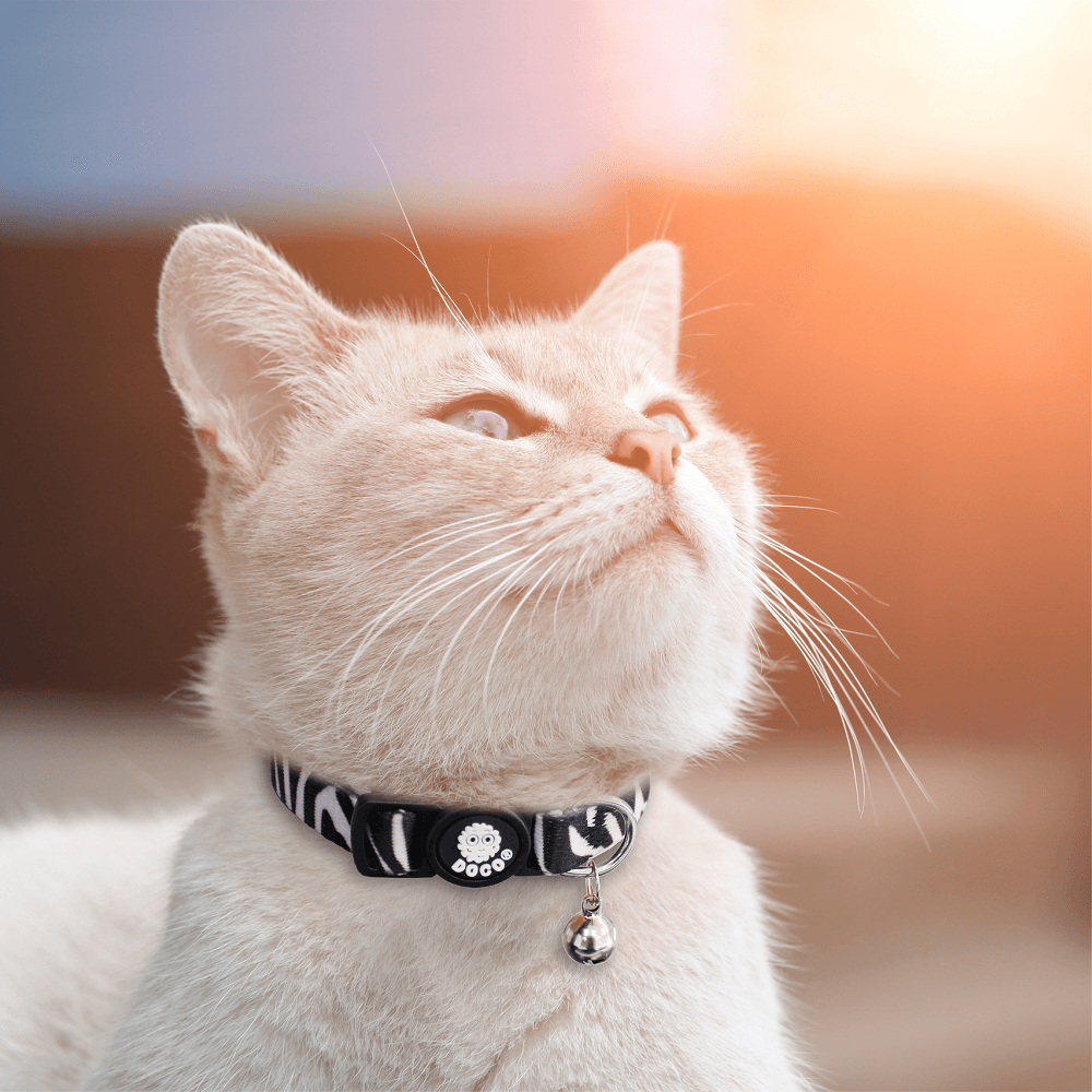 DOCO® LOCO Cat Collar - Printed Pattern