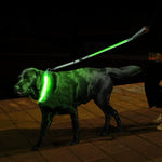GERMPLASM DOG COLLAR SMALL GREEN