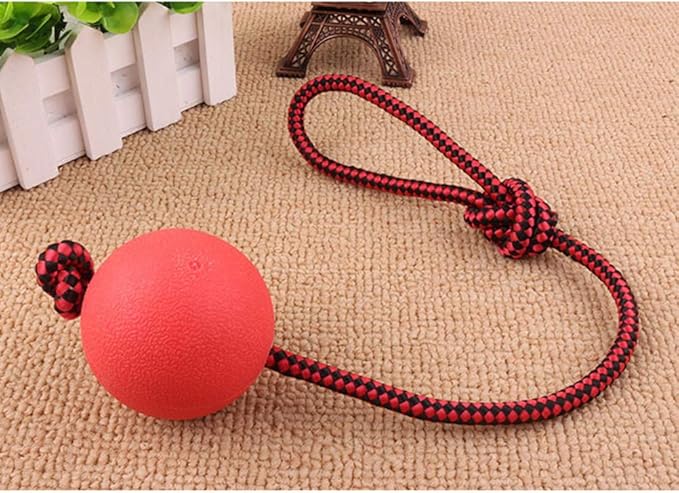 PawZilla Ball Toy With Rope
