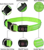 GERMPLASM DOG COLLAR SMALL GREEN