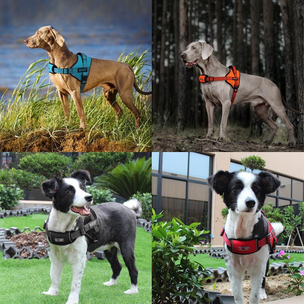 DOCO®VERTEX Power Dog Harness
