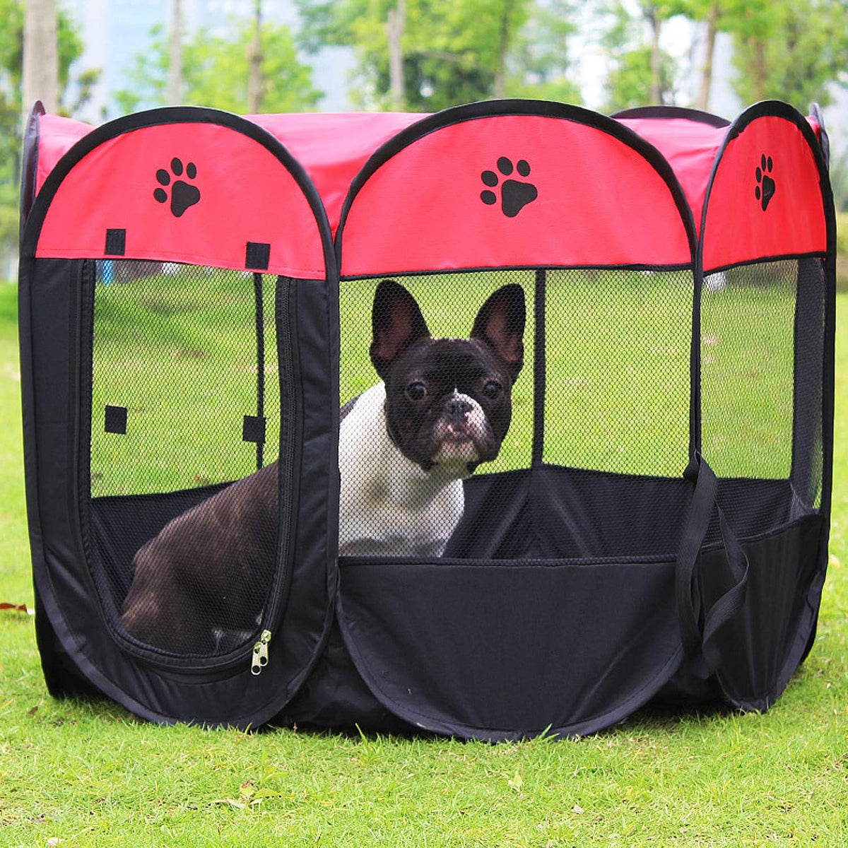 Pet Tent for Cats and Small Dogs Red Small 73x73x43 cm