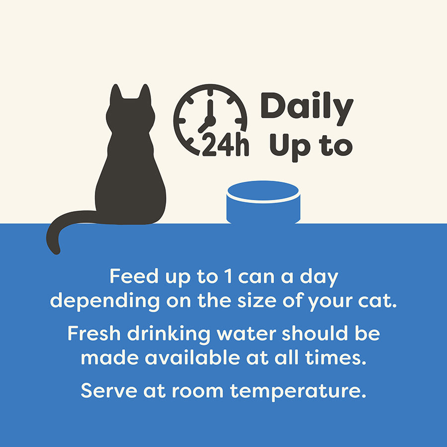 Applaws Natural Ocean Fish in Broth Wet Cat Food 70g