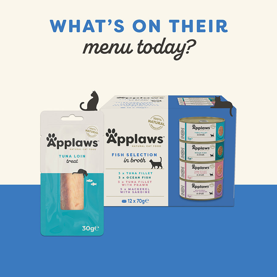 Applaws Natural Tuna Fillet in Broth Wet Cat Food 70g
