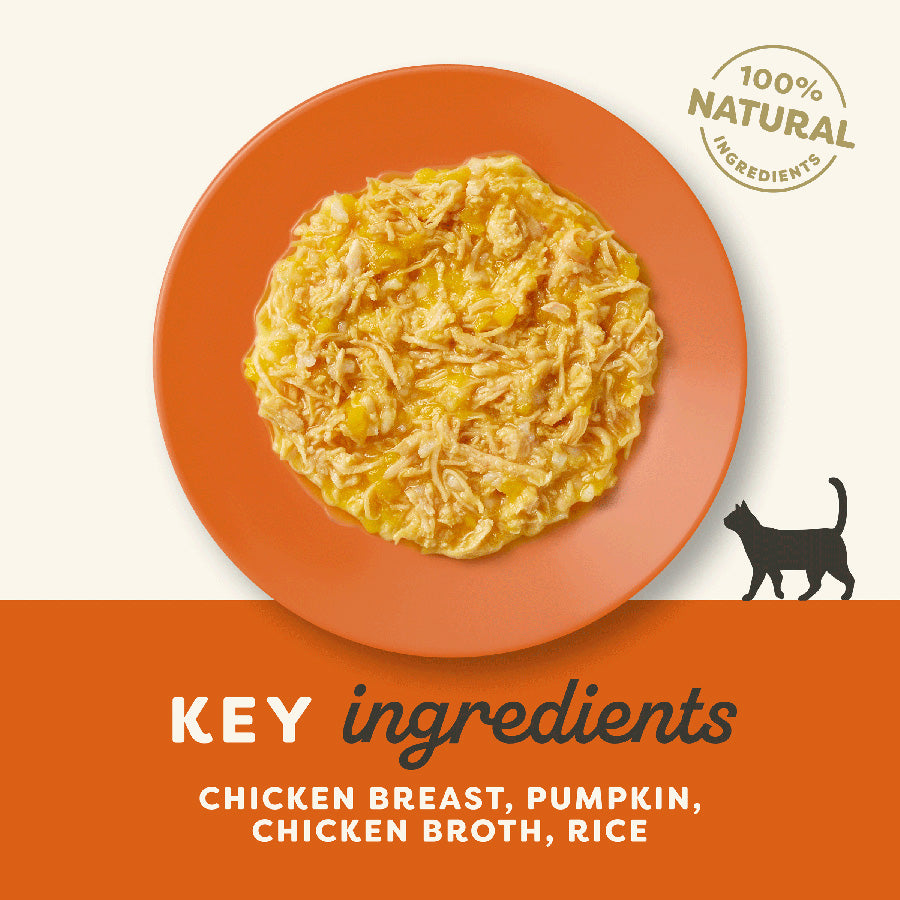 Applaws Natural Chicken Breast & Pumpkin in Broth Wet Cat Food 70g