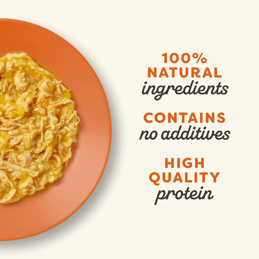 Applaws Natural Chicken Breast & Pumpkin in Broth Wet Cat Food 70g