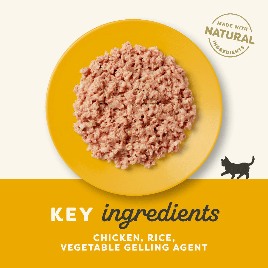 Applaws Natural Kitten Chicken Wet Cat Food in Jelly 70g