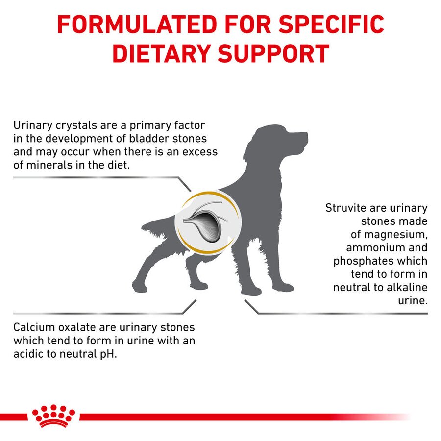 Royal Canin Urinary S/O All Breeds Adult Dog Food 2kg