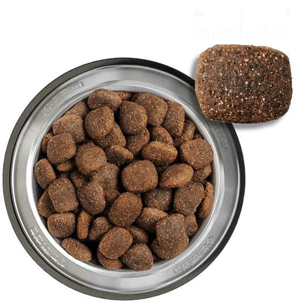 Belcando Adult Active Dog Dry Food M-XL 12.5 kg