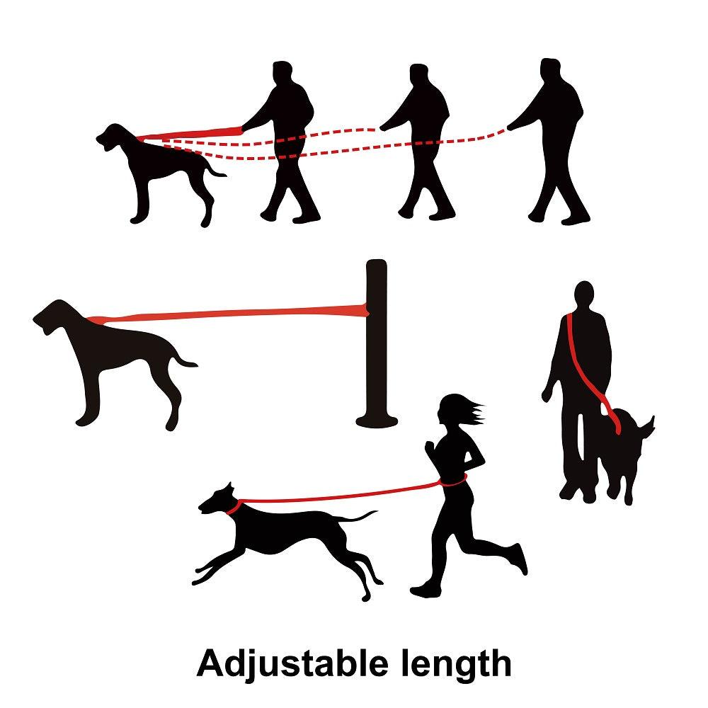 DOCO® Easy-Snap™ Multifunction Nylon Dog Leash