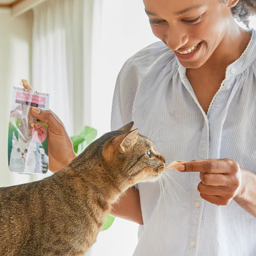 Churu Grilled Chicken Extra Tender in Crab Flavored Broth For Cats 25g.