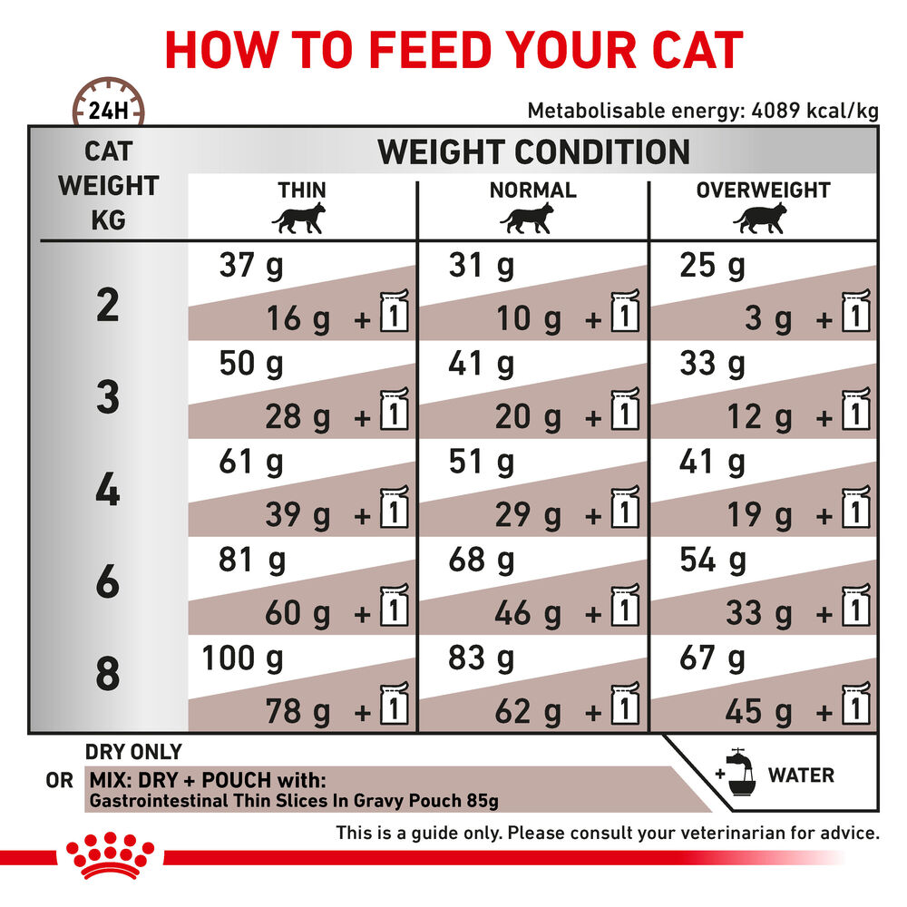 Royal Canin Gastrointestinal All Breeds Adult Cat Food