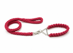 2-in-1 Heavy Duty Adjustable Dog Collar and Braided Loop Leash for Large and Medium Dogs