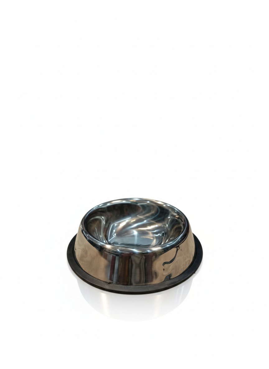 Stainless Steel Bowl for Kittens and Small Dogs