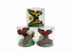 Butterfly Interactive Catching Toy for Cat - Green