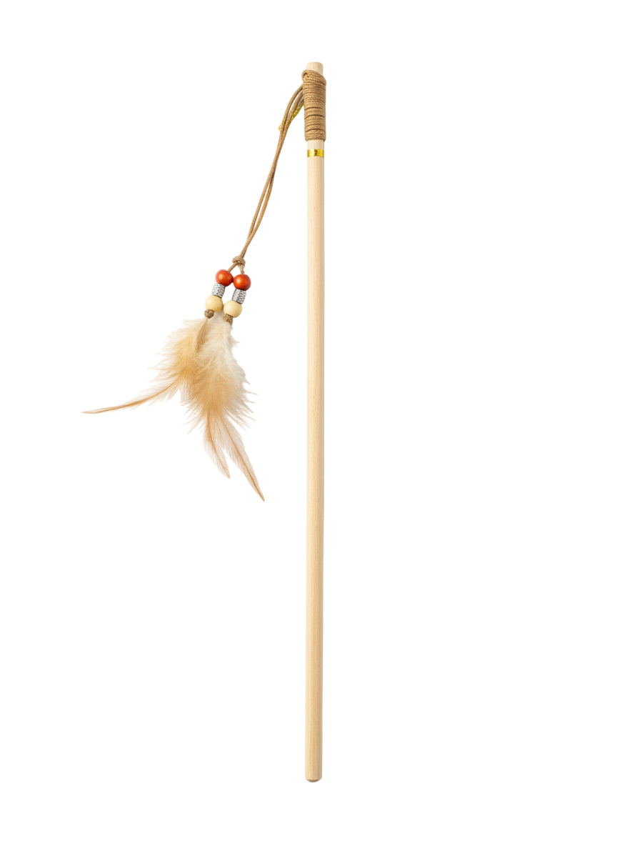 Hook Feather With Ring Cat Toy