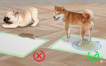 Super Training Pads For Puppy 90*60cm 30Pcs