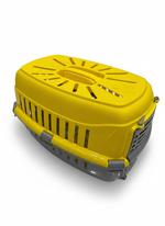 Joy Cat Box Colors