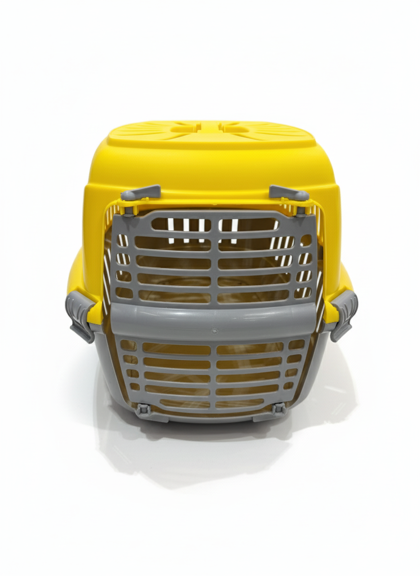 Joy Cat Box Colors
